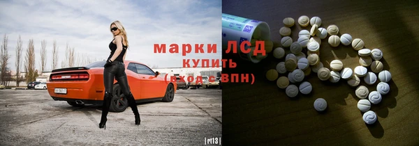 прущие грибы Горно-Алтайск