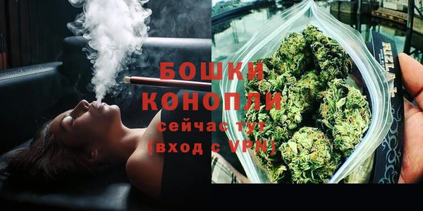 прущие грибы Горно-Алтайск