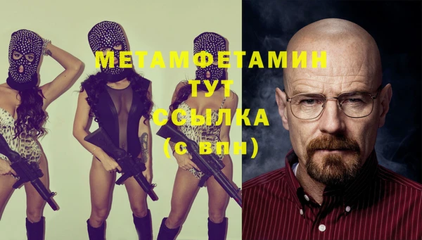 прущие грибы Горно-Алтайск