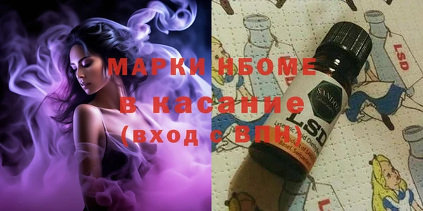 прущие грибы Горно-Алтайск