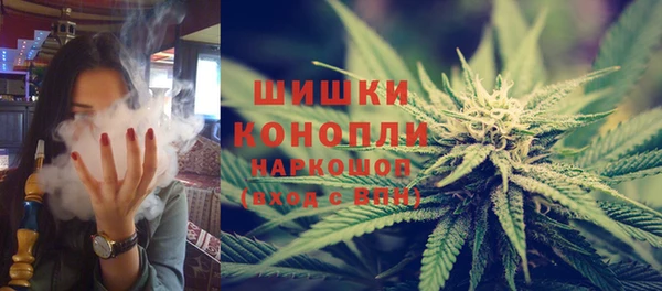 прущие грибы Горно-Алтайск