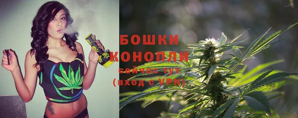 MESCALINE Горняк