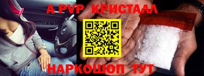 шишки Будённовск