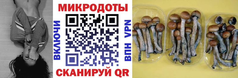 мега tor  Каспийск  Псилоцибиновые грибы прущие грибы 