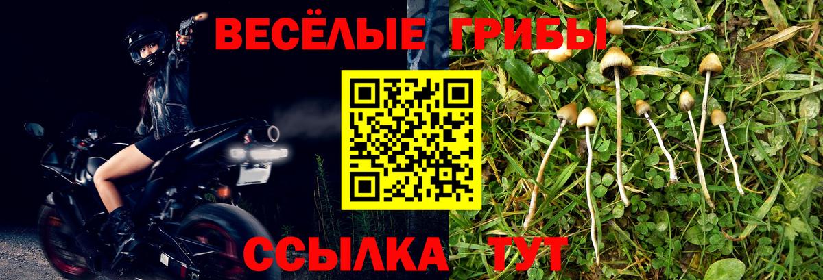 Каспийск  Псилоцибиновые грибы Magic Shrooms  Вход с VPN 